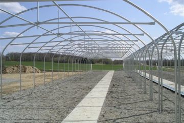 طراحی و مشاوره فنی گلخانه