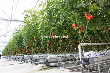 Soilles-Greenhouse-Antalya-Turkey
