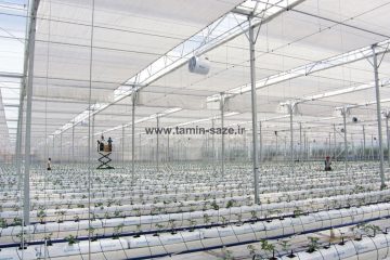 hidroponic-greenhouse-2-1200x800