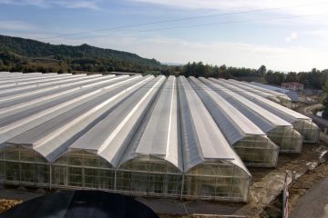 ساخت و نصب سازه گلخانه