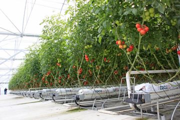 راه‌اندازی سیستم آبیاری