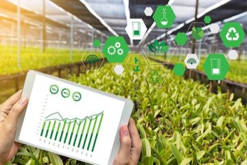 نصب سیستم‌های کنترل گلخانه