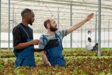 پشتیبانی، آموزش و خدمات پس از اجرا